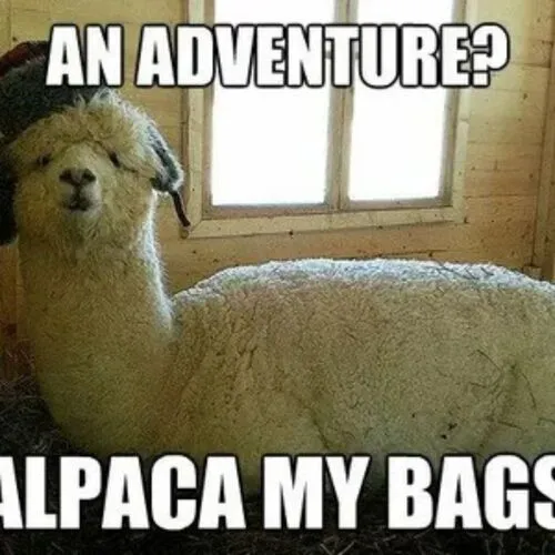 Visual Puns Ideas Funny