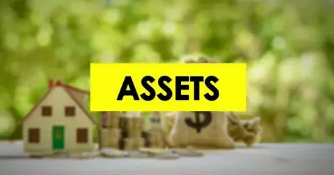 Assets & Lifestyle