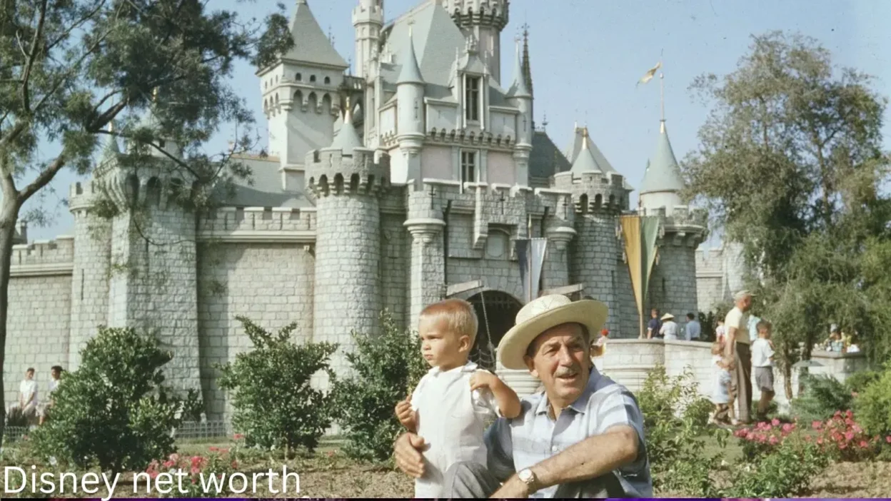 Disney net worth