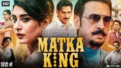 Matka King Hindi Net Worth 2026: Income, Wealth & Assets